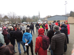 Fête du Printemps 2025 - Image 4